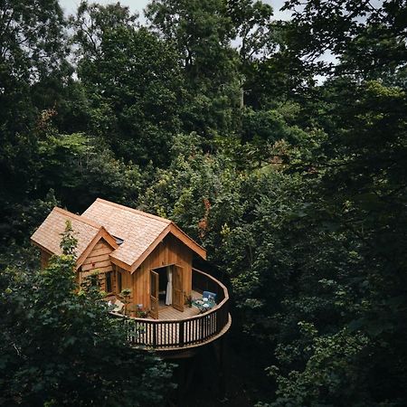 Wildhive Callow Hall Ashbourne  Dış mekan fotoğraf