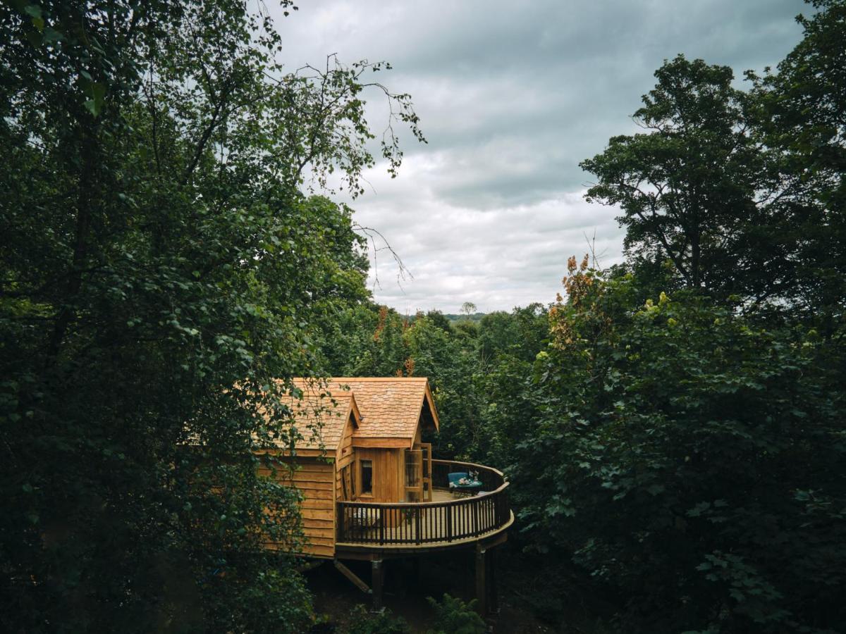 Wildhive Callow Hall Ashbourne  Dış mekan fotoğraf